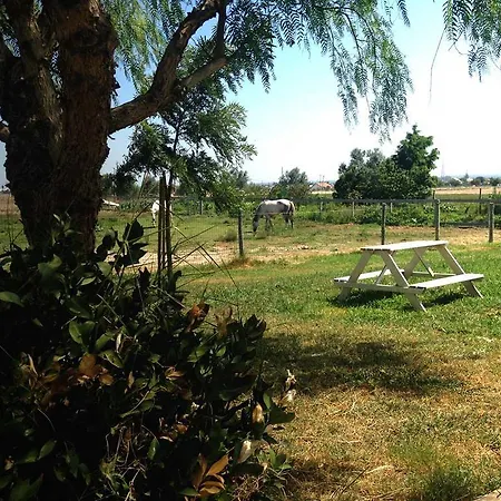 Quinta Das Malhadas بيت ضيافة